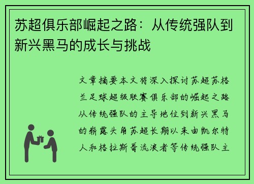 苏超俱乐部崛起之路：从传统强队到新兴黑马的成长与挑战