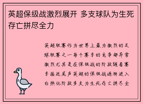 英超保级战激烈展开 多支球队为生死存亡拼尽全力