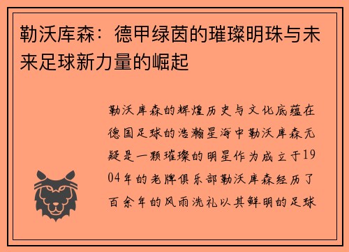 勒沃库森：德甲绿茵的璀璨明珠与未来足球新力量的崛起